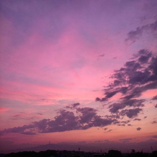 空 ピンク 空 夕空 夕焼け 晴れ Sky Skyline Sunset Evening Pink Sunnyday Japan Landscape Daily Today Instagood Instalike Instaoftheday Picoftheday Photooftheday Shigeru1968